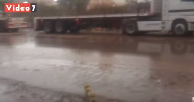 أمطار رعدية غزيرة تضرب محافظة الغربية.. فيديو