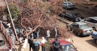 قارىء يشارك بصورة سقوط الأشجار بسبب الطقس بمساكن الشروق فى مدينة نصر