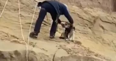 كلب يتعثر فى منحدر صخرى بمدينة روسية فانتشله فريق إنقاذ.. فيديو