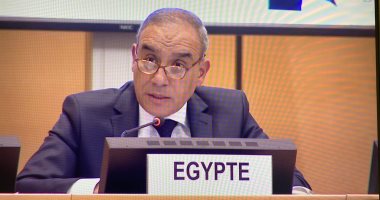 سفير مصر بباريس: القمة الاقتصادية العربية الفرنسية فرصة لزيادة الاستثمارات بمصر
