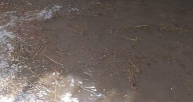 فيديو.. غرق أرضى زراعية بالشرقية بسبب انهيار جسر بحر البقر نتيجة الأمطار 