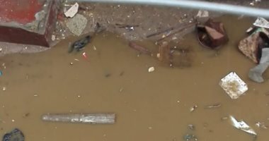أهالى شارع الرحمة بمنوف محافظة المنوفية يطالبون بكسح مياه المطر