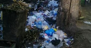 أهالى شارع بن الوليد بالإسكندرية يعانون من تراكم القمامة