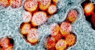 البرتغال تسجل أول حالة وفاة بفيروس كورونا