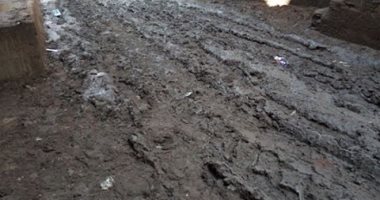 قارئ يشكو من غرق قرية صراوة بالمنوفية فى برك من الطين بسبب الأمطار