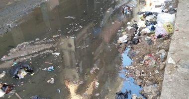 قارئ يشكو من تراكم القمامة وانتشار مياه المجارى بشارع فرن حبيب مركز شربين دقهلية