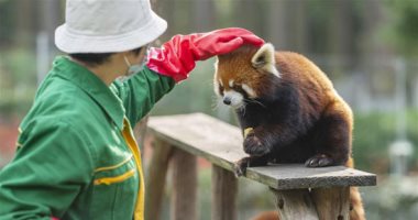 حديقة حيوان ووهان الصينية مغلقة بأمر "كورونا"