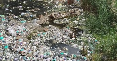 شكوى من تحول أرض عفيفى إلى بؤرة تلوث بسبب القمامة ومياه الصرف الصحى بدمياط