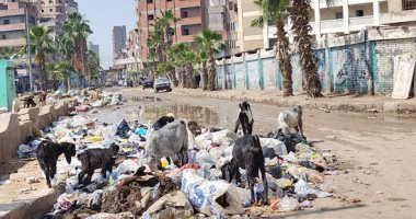 صور.. شكاوى من انتشار أكوام القمامة فى شوارع المحلة
