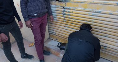 صور.. إغلاق وتحرير محاضر لـ76 منشأة غير ملتزمة بإجراءات الوقاية من كورونا بالإسكندرية