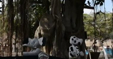 للأطفال .. القومى للثقافة يعرض مسرحية "الفيل المتمرد" عبر الإنترنت