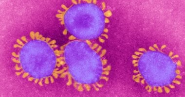 ارتفاع عدد المصابين بفيروس كورونا المستجد في بريطانيا إلى 9529 حالة