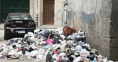 شكاوى من انتشار القمامة بشارع البحر الأعظم بالجيزة.. والأهالى: "هيجلنا المرض"