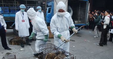 الصين تسجل 45 إصابة جديدة بفيروس كورونا 