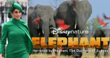 أول شغل بعد الملكية.. ميجان تعلق بصوتها على Elephant أحدث أفلام ديزنى فى إبريل