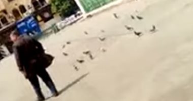 فيديو.. الحمام ينتشر بساحة مسجد الحسين بدلا من المصلين