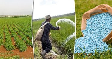 "الخدمات الزراعية": لجان متابعة على المحصول الصيفى وصرف مقررات الأسمدة