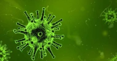  تركيا تدعو الأطباء البيطريين للعمل ضد فيروس كورونا المستجد