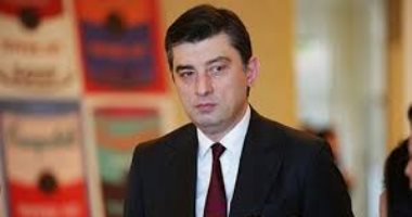 رئيس وزراء جورجيا يتنحى عن منصبه بعد اعتقال معارض