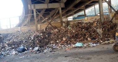 شكوى من انتشار القمامة والحشرات بشارع البصراوى بإمبابة