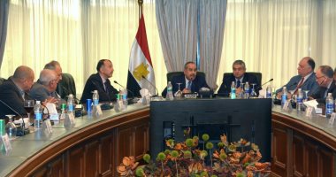 وزير الطيران يبحث أوضاع شركات الطيران المصرية الخاصة فى ظل أزمة كورونا