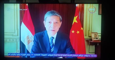 السفير الصينى بالقاهرة: مصر ستقضى على فيروس "كورونا" فى أقرب وقت ممكن
