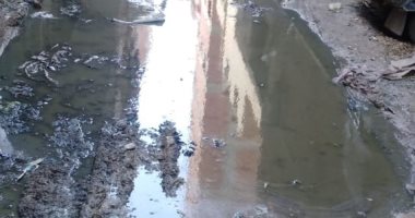 شكوى من انتشار مياه الصرف الصحى بشارع الأمراء بالمرج