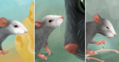 الجارديان: الفئران لديها تعبيرات وجه مرتبطة بمشاعر مثل الألم والمتعة والخوف
