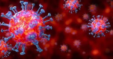 دراسة: فيروس كورونا تحور عدة مرات ونيويورك شهدت السلالة الأكثر فتكا