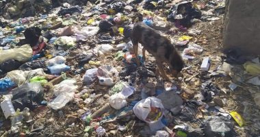 شكوى من انتشار القمامة بقرية أبو الغر مركز كفر الزيات محافظة الغربية