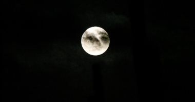 القارئ ضياء الدين محمود عبد الرحيم يكتب: ليلة عرس فوق القمر