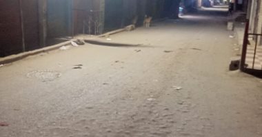 شكوى من انتشار الكلاب الضالة بمنطقة بشتيل