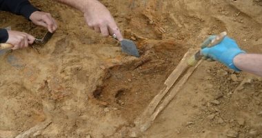 العثور على أقدم حمض نووى بشرى يثبت أن الإنسان عاش قبل 800 ألف سنة 