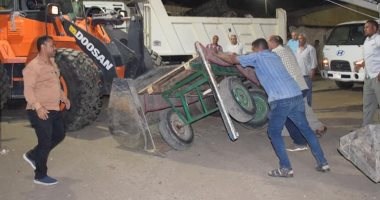 "مدينة الأقصر": مصادرة عربات الكارو خلال حملة لمنع الأسواق لمكافحة فيروس كورونا
