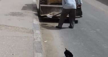 رفع 7 أطنان قمامة وتركيب وصيانة كشفات الإنارة بمدينة أخميم فى سوهاج