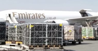 صور.. مصدر بالشحن الجوى: مصر تمد الخليج وأوروبا بـ 150 طن خضار وفاكهة وسمك منذ تعليق الطيران