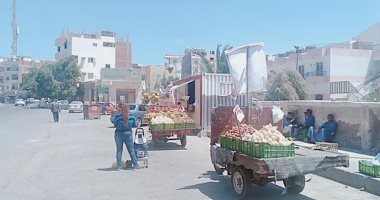 رئيس مدينة الغردقة: السلع الغذائية والخضروات متوفرة بأسعار مخفضة.. صور