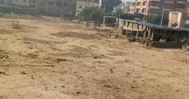 محافظة الجيزة تغلق سوق الخميس لتجارة الماشية بأوسيم.. صور