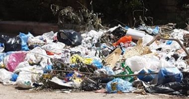 شكوى من انتشار القمامة بمنطقة النخيل فى حى العجمى بالإسكندرية