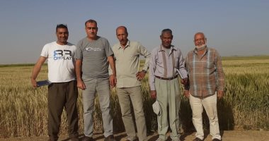 الزراعة: لم نرصد دخول أسراب جراد إلى مصر والوضع آمن