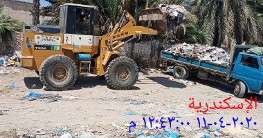 استجابة لـ"سيبها علينا".. الرصد البيئى يرفع القمامة من شارع العروبة بالإسكندرية