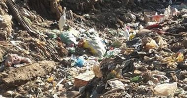 أهالى قرية حسن باشا يشكون من انتشار القمامة بالشوارع