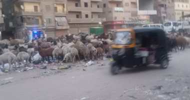 "سيبها علينا".. شكوى من انتشار القمامة بشارع أحمد عرابى فى شبرا الخيمة