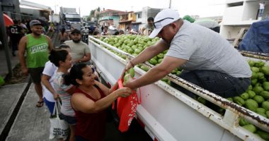 كورونا تدفع منتجى الفاكهة فى كوستاريكا لتوزيعها مجانا بسبب وقف التصدير