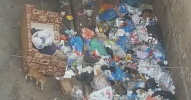 سكان شارع شيديا بكامب شيزار يشكون من انتشار القمامة بسبب "النباشين"