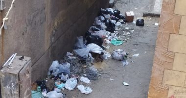 قارئ يشكو تراكم القمامة فى شارع الشيمى بالطالبية فيصل