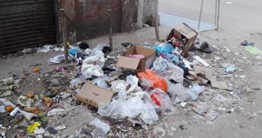 شكوى من انتشار القمامة بشارع الإمام محمد عبده بالحفرية فى الجيزة