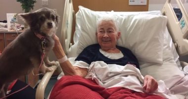 جدة مصابة بالسرطان ومرض بالرئة تنتصر على كورونا وتحتفل بعيد ميلادها الـ 81