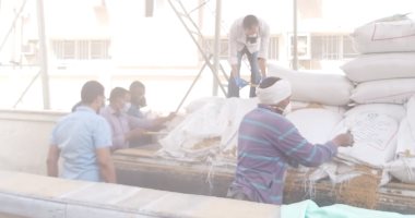 "تموين أسوان": صوامع القمح استقبلت 328 ألف كيلو خلال اليوم الأول للتوريد