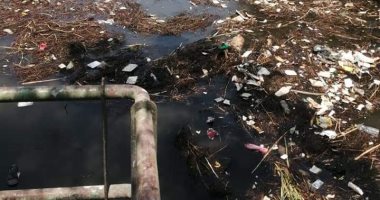 القمامة تحاصر محطة مياه بهواش فى المنوفية.. والأهالى يطالبون برفعها.. صور